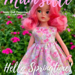 April 2025 + Box Files Supplement